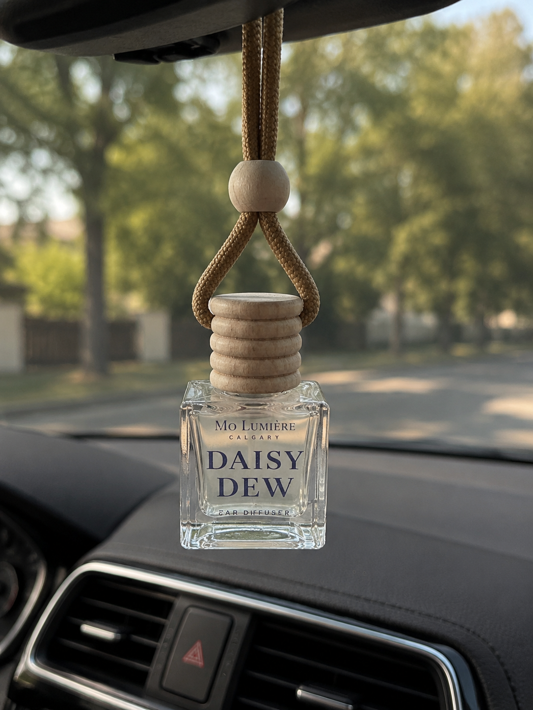 Car Diffuser — Luxury Scented Hanging Car Fragrance