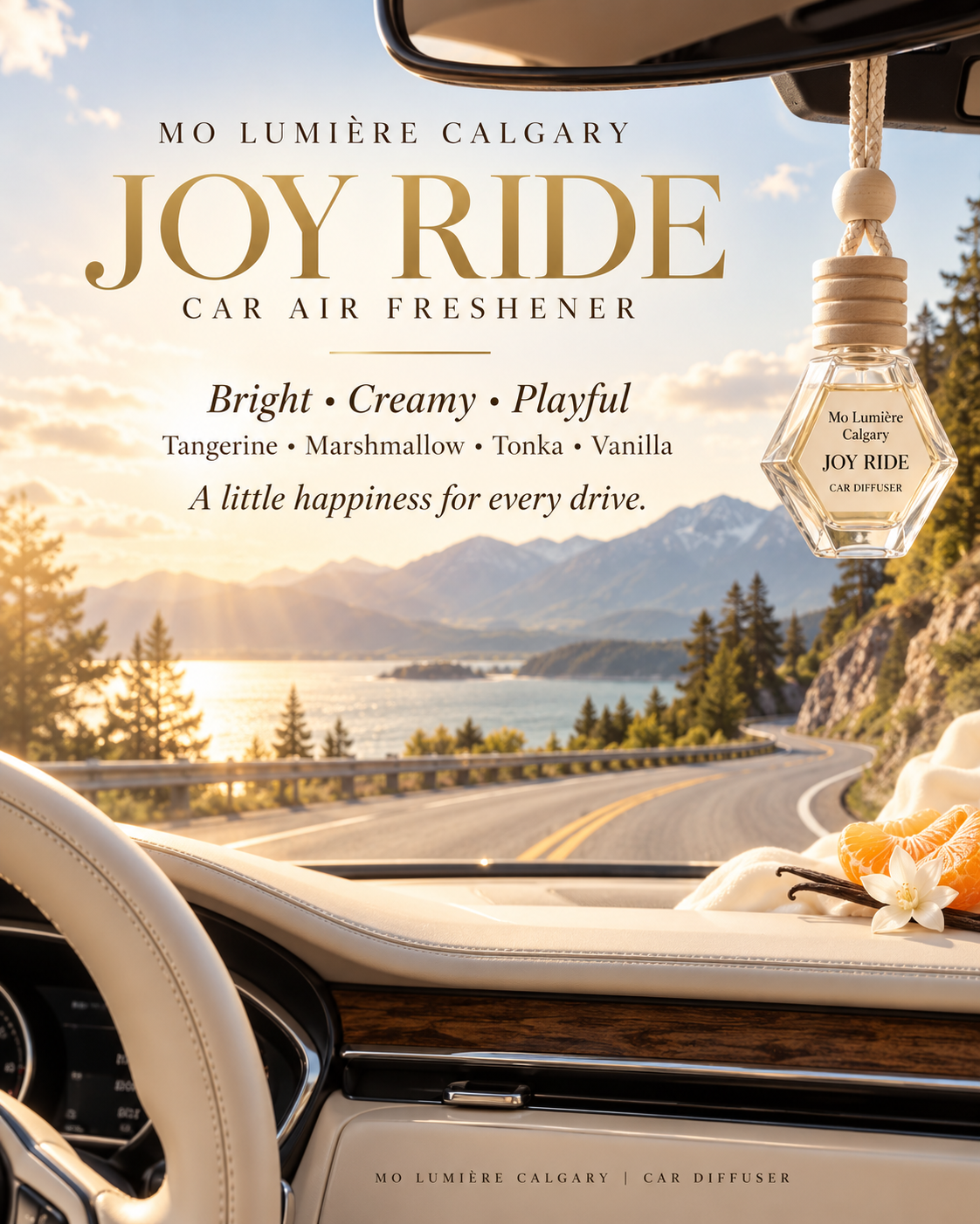 Joy Ride Car Diffuser | Hanging Car Air Freshener
