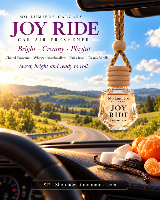Joy Ride Car Diffuser | Hanging Car Air Freshener