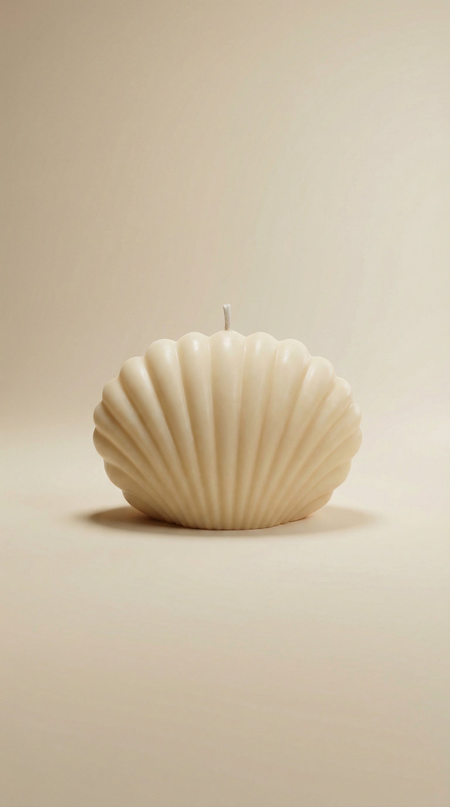 Pearl Shell Sculpted Candle | Soft Glow Collection | Mo Lumière