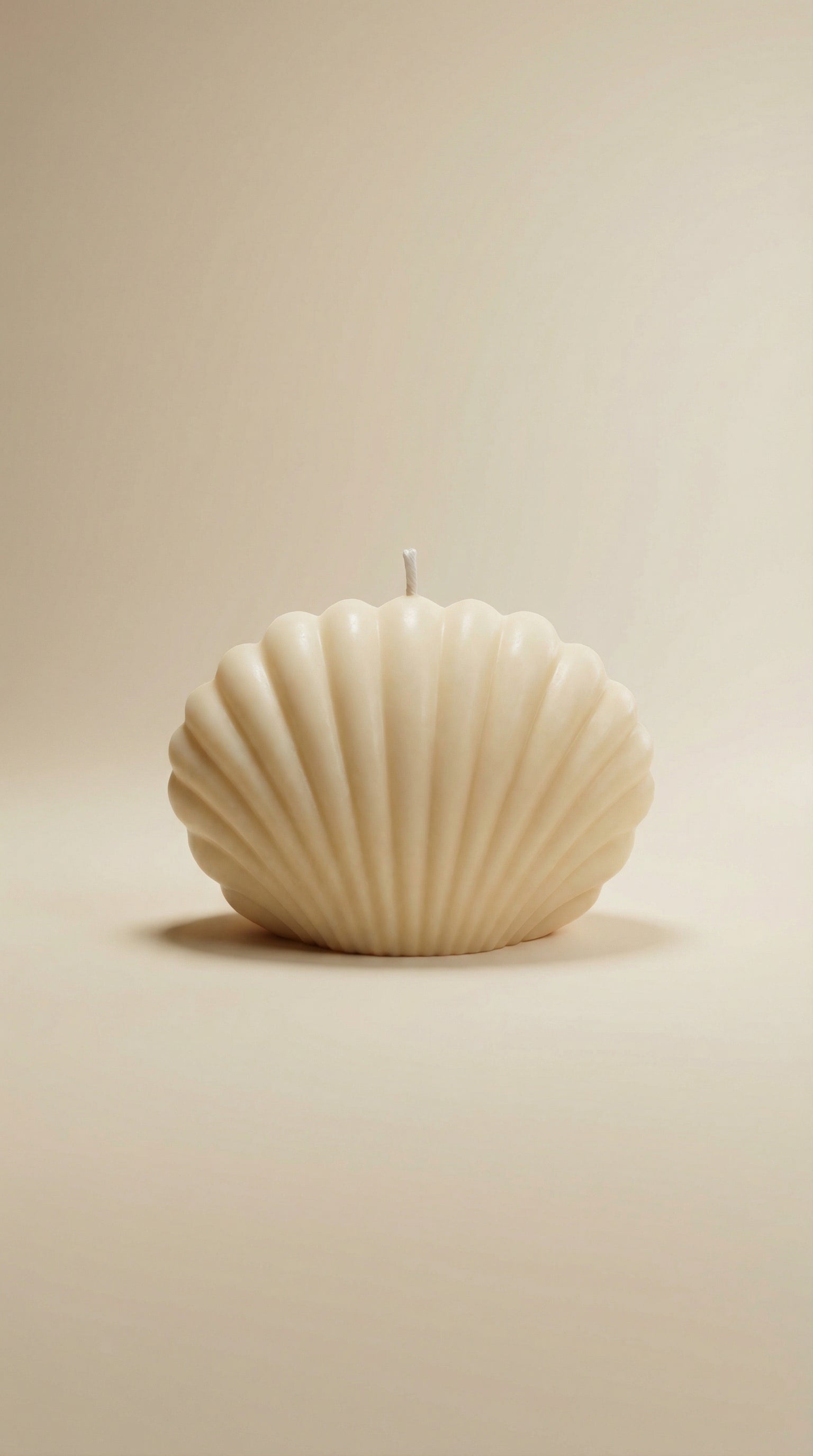 Pearl Shell Sculpted Candle | Soft Glow Collection | Mo Lumière